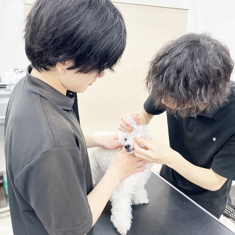 ２年生の看護実習